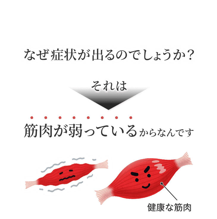 なぜ症状が出るのでしょうか？それは筋肉が弱っているからなんです